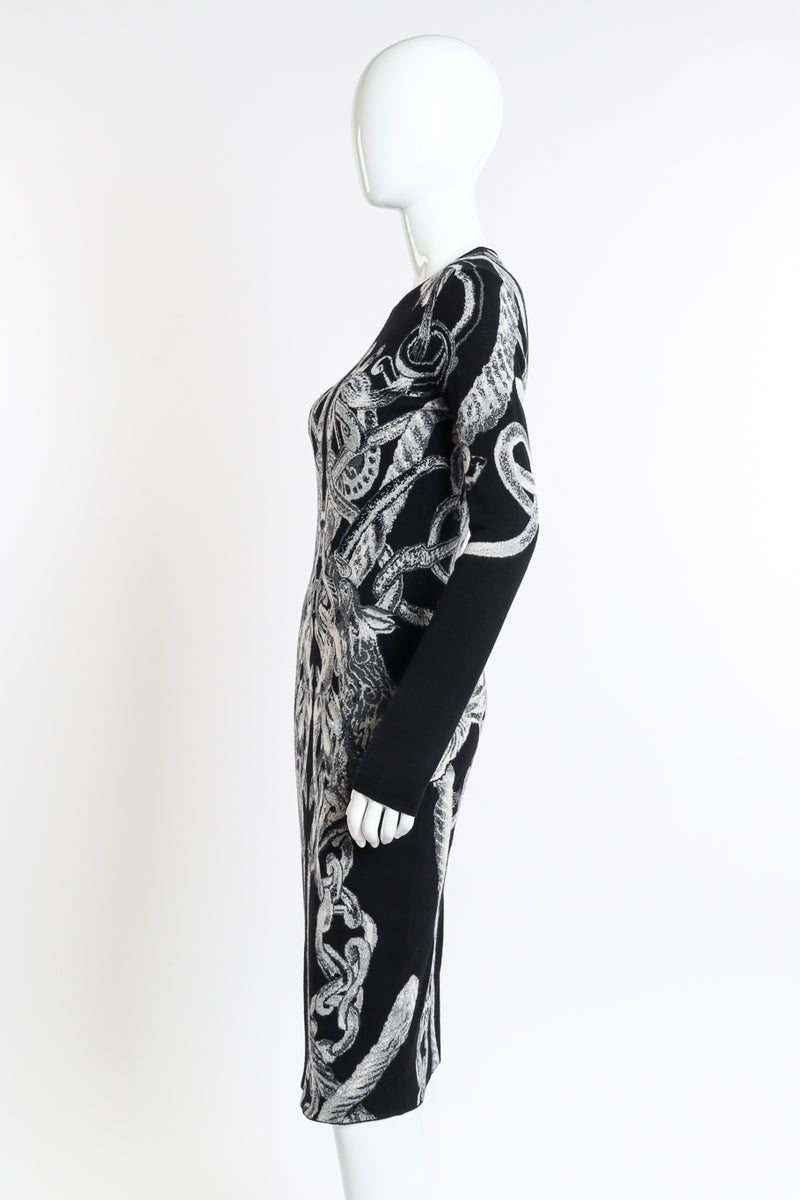 Alexander McQueen 2010 A/W Graphic Knit Dress side on mannequin closeup @recessla