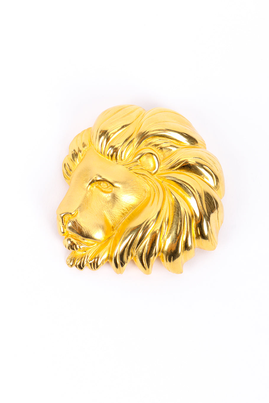 Vintage Large Lion Brooch front @recessla