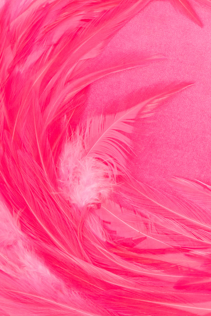 Leslie James Hot Pink Velvet Feather Shacko Pillbox Hat