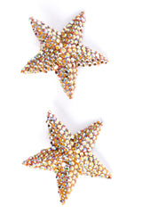 Vintage Richard Kerr Iridescent Crystal Shining Star Earrings at Recess Los Angeles